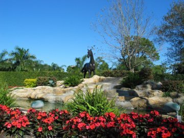Parkland Horse and waterfall